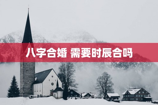 八字合婚 需要时辰合吗