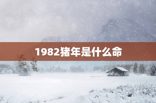 1982猪年是什么命 1982猪年是什么命
