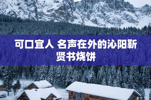 可口宜人 名声在外的沁阳靳贤书烧饼