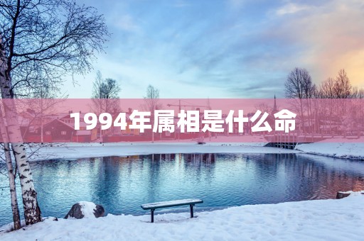 1994年属相是什么命