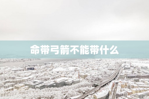 命带弓箭不能带什么