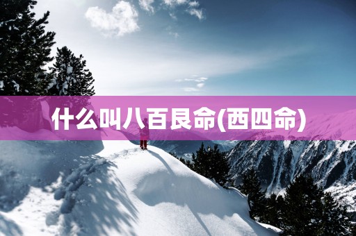 什么叫八百艮命(西四命)