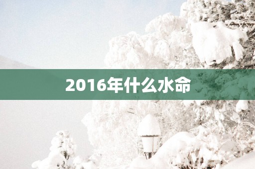2016年什么水命