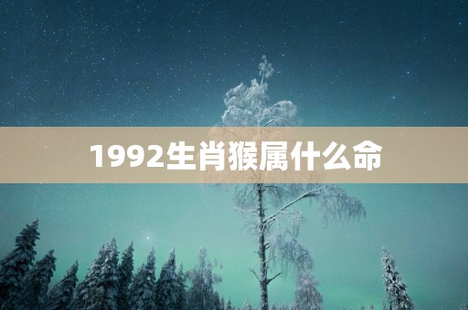 1992生肖猴属什么命