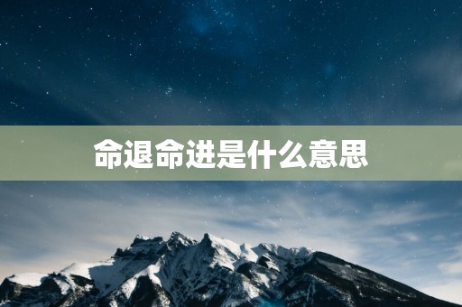 命退命进是什么意思