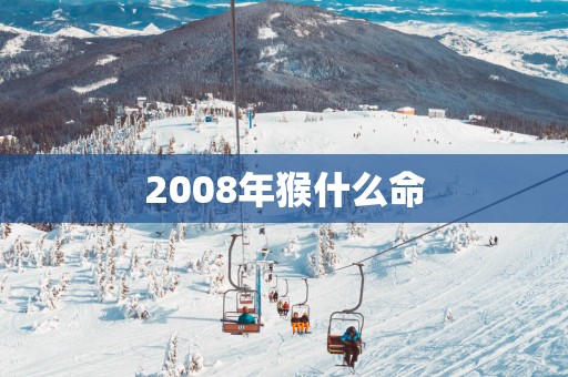2008年猴什么命