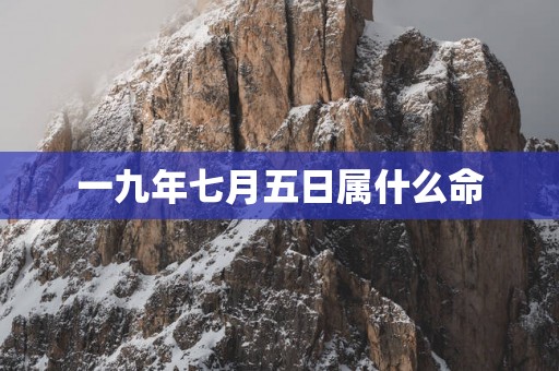 一九年七月五日属什么命