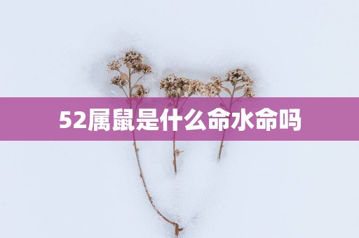 52属鼠是什么命水命吗