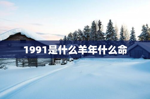 1991是什么羊年什么命
