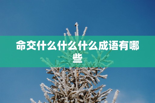 命交什么什么什么成语有哪些