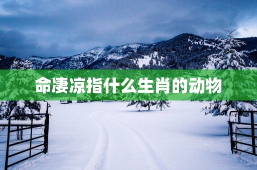 命凄凉指什么生肖的动物
