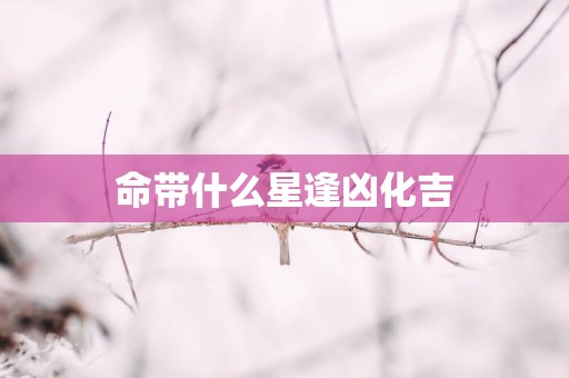 命带什么星逢凶化吉
