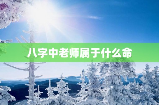八字中老师属于什么命
