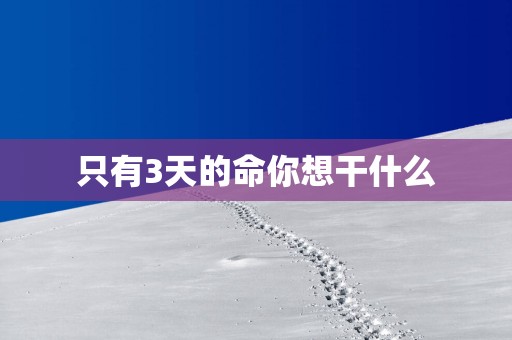 只有3天的命你想干什么