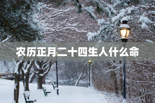 农历正月二十四生人什么命