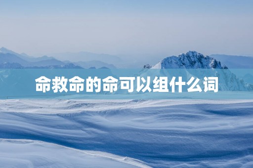 命救命的命可以组什么词