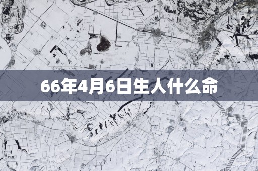 66年4月6日生人什么命