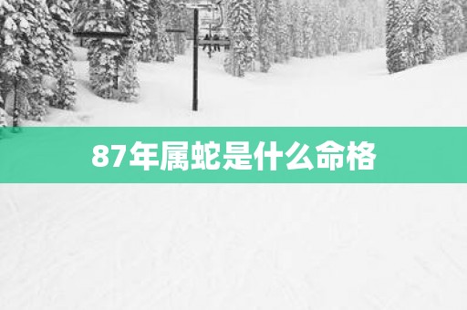 87年属蛇是什么命格