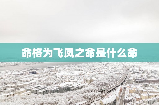 命格为飞凤之命是什么命