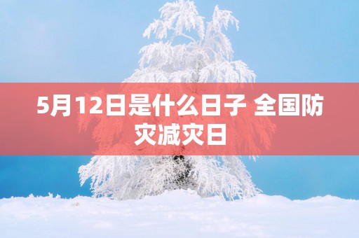 5月12日是什么日子 全国防灾减灾日