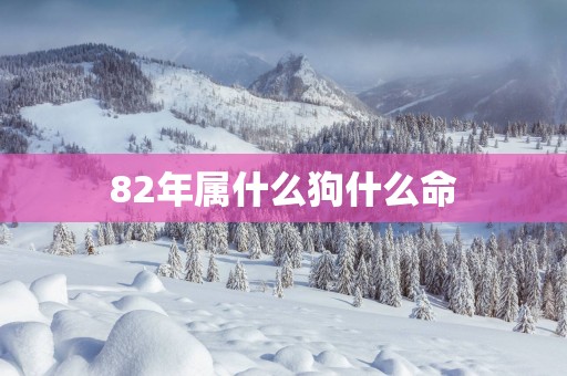 82年属什么狗什么命