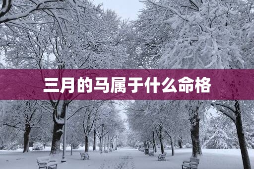 三月的马属于什么命格