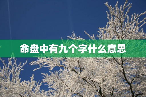 命盘中有九个字什么意思