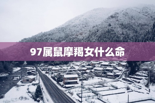 97属鼠摩羯女什么命