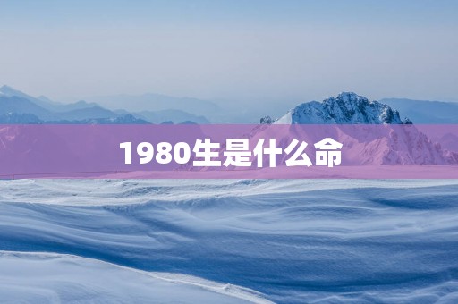 1980生是什么命