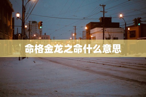命格金龙之命什么意思