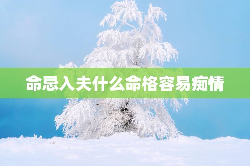 命忌入夫什么命格容易痴情