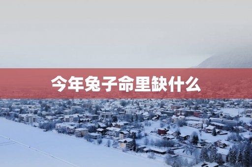 今年兔子命里缺什么