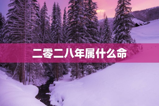 二零二八年属什么命