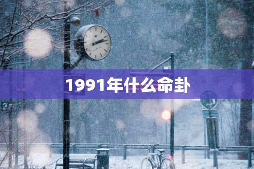 1991年什么命卦