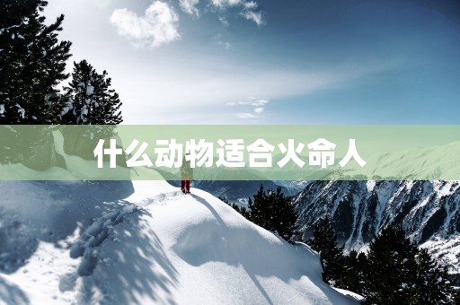 什么动物适合火命人