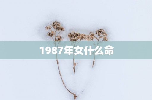 1987年女什么命