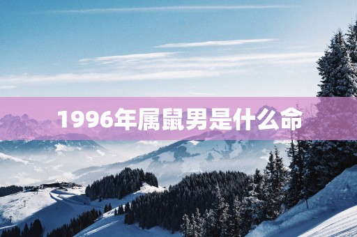 1996年属鼠男是什么命