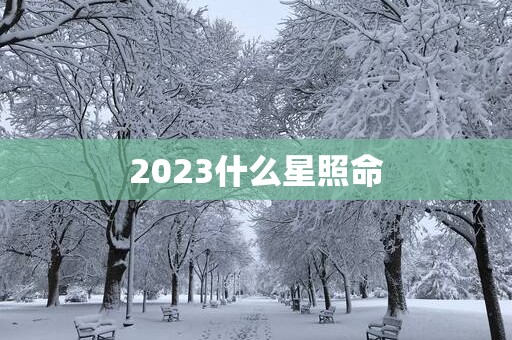 2025什么星照命