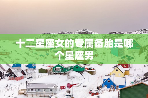 十二星座女的专属备胎是哪个星座男