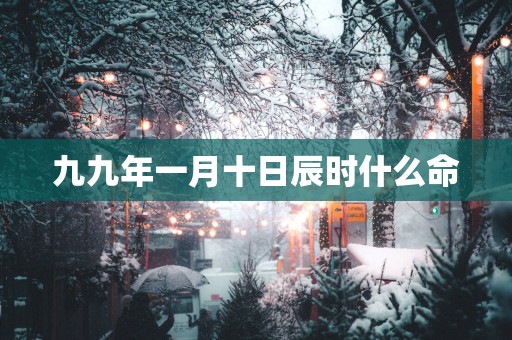 九九年一月十日辰时什么命