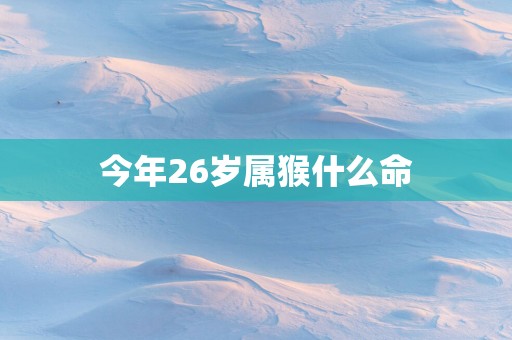 今年26岁属猴什么命