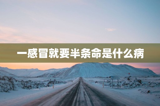 一感冒就要半条命是什么病