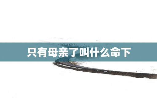 只有母亲了叫什么命下