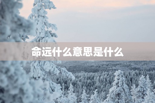 命远什么意思是什么