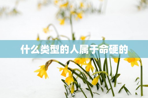 什么类型的人属于命硬的