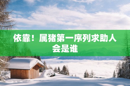 依靠！属猪第一序列求助人会是谁