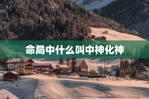 命局中什么叫中神化神