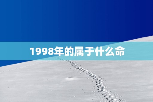 1998年的属于什么命