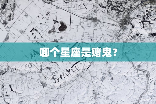 哪个星座是赌鬼？