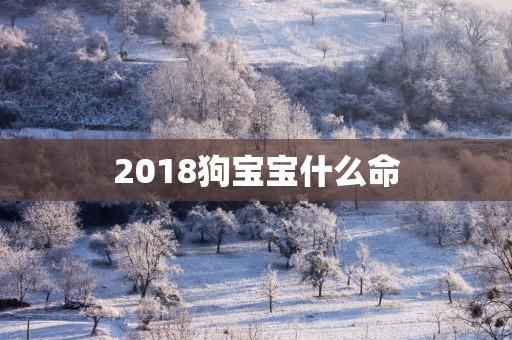 2018狗宝宝什么命